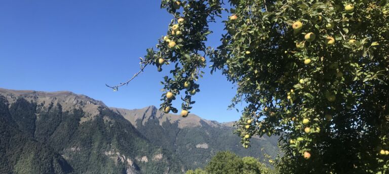 Pommes