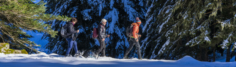 Raquettes Le Mourtis