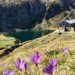 port-de-venasque-pyrenees31