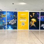 Julie-crea-graphiste-arlos-pyrenees31