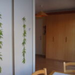 Studio-le-fringere-sejour-luchon-pyrenees31