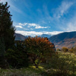 Villa Art Natura