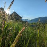 Chalet Pyrénéen Fryo