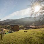 La Cabane de Lézan