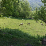 Chalet Eyloungas