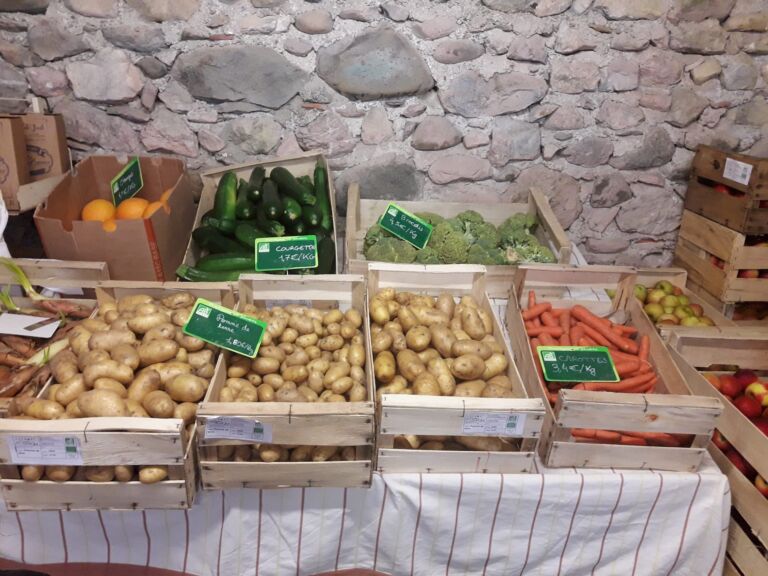 terra-alter-native-distributeur-fruits-legumes-valcabrere-pyrenees31