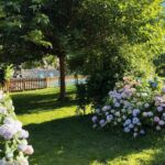 maison-burgalat-saint-mamet-jardin-pyrenees31