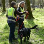 canisnez-flyers-educateur-canin-saint-beat-lez-pyrenees31