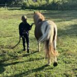 Le-ptit--ranch-sauveterre-de-comminges-pyrenees31