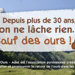 pays-de-l-ours-melles-pyrenees31