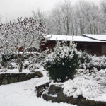 chalet-darlos-neige-arlos-pyrenees31