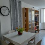 appartement-saunier-luchon-salle-pyrenees31
