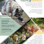 canisnez-flyers-educateur-canin-saint-beat-lez-pyrenees31