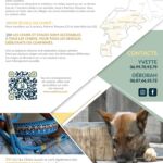 canisnez-flyers-educateur-canin-saint-beat-lez-pyrenees31