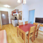 appartement-oo-sejour-luchon salon-pyrenees31