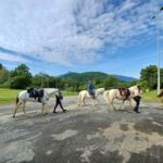 COMITE DEPARTEMENTAL DU TOURISME EQUESTRE 3