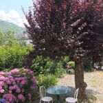 DUTOIT appart  (10)