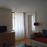ESPINGO DELOR (10)