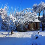 Fourcadet Chalet Jean-Louise 004