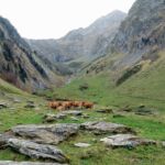 gaec-de-la-pique-st-beat-pyrenees31