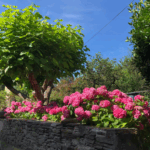 appartement-joudiou-vue-chambre-luchon-pyrenees31