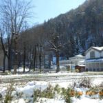 Environs hiver