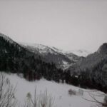 HLOMIP031CM01502_12