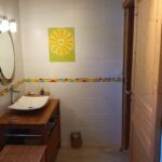 maison-hormiere-salle-d-eau-mayregne-pyrenees31