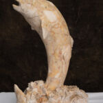 artiste-arnaud-marignac-boupi-pyrenees31