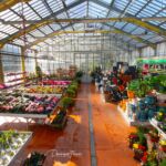jardinerie-pradel-horticulture-luchon-serre-pyrenees31