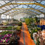jardinerie-pradel-horticulture-luchon-grandeserre-pyrenees31