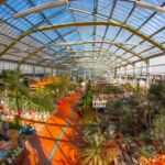 jardinerie-pradel-horticulture-luchon-grandeserre-pyrenees31