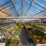 jardinerie-pradel-horticulture-luchon-grandeserre-pyrenees31