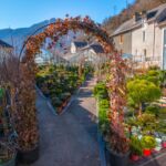 jardinerie-pradel-horticulture-luchon-serre-pyrenees31