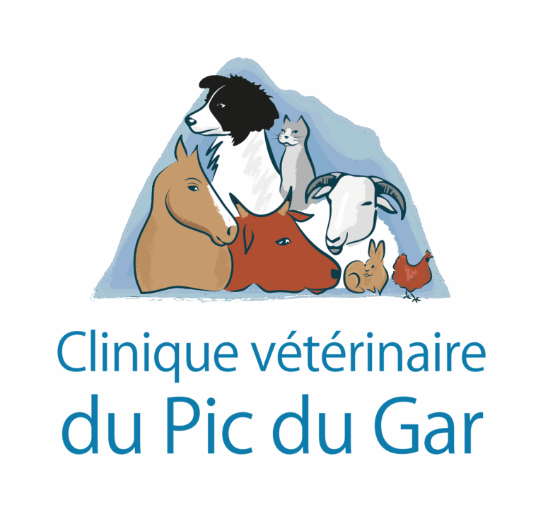 veterinaire-van-de-vyver-jason-cierp-gaud-pyrenees31