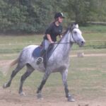 Le ptit ranch 1 SAUVETERRE DE COMMINGES