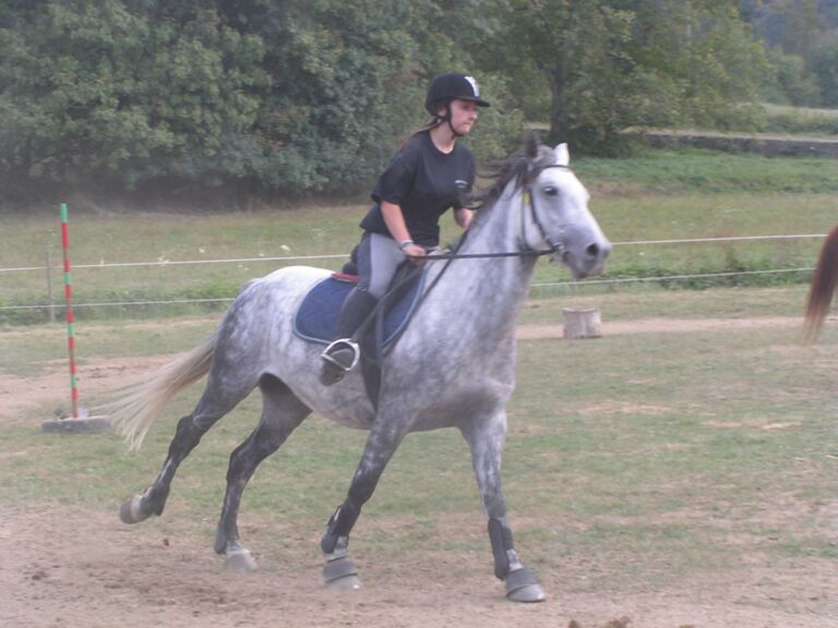 Le ptit ranch 1 SAUVETERRE DE COMMINGES