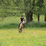 Le ptit ranch SAUVETERRE DE COMMINGES
