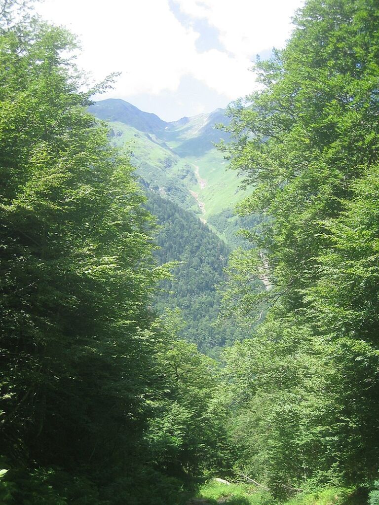 Luchon_001
