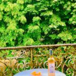 Manselon Benoit Villa Raphaël (13)