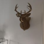 SCI LOUPAUMAGA- Maga -luchon- chambre (10)