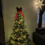 SCI LOUPAUMAGA- Maga -luchon- chambre (18)