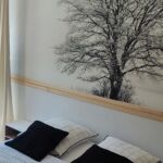 SCI LOUPAUMAGA- Maga -luchon- chambre (2)