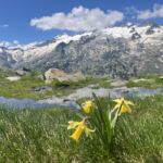 plus-de-trek-sommets-enneiges-pyrenees31