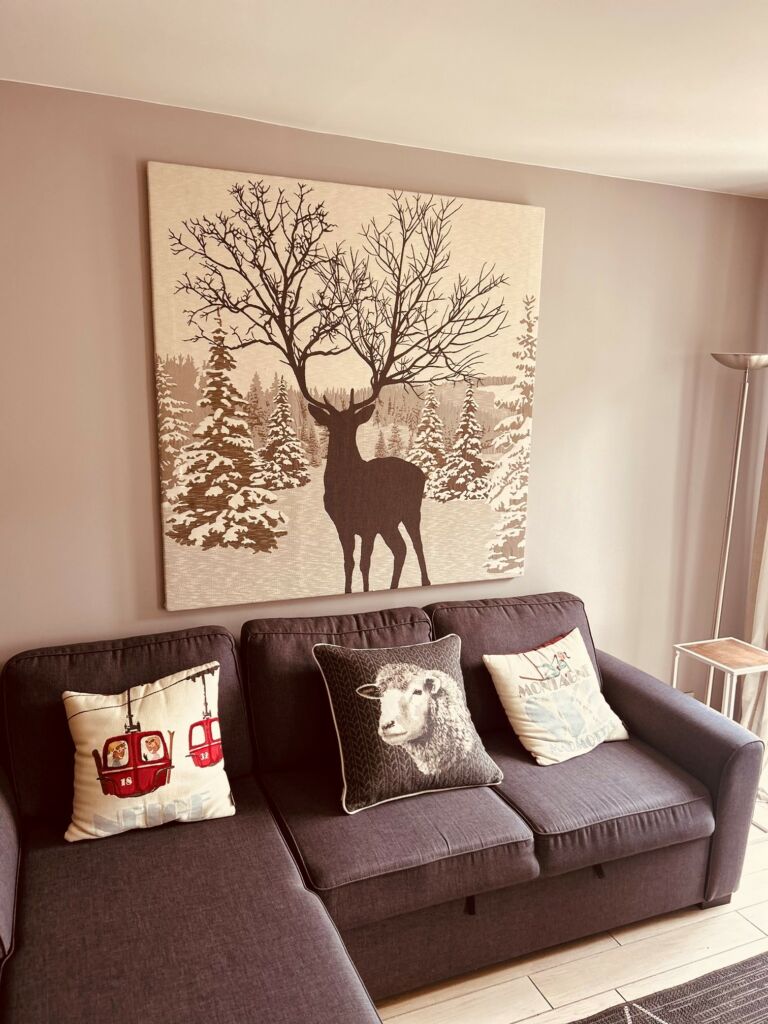 appartement-humeau-salon-luchon-pyrenees31