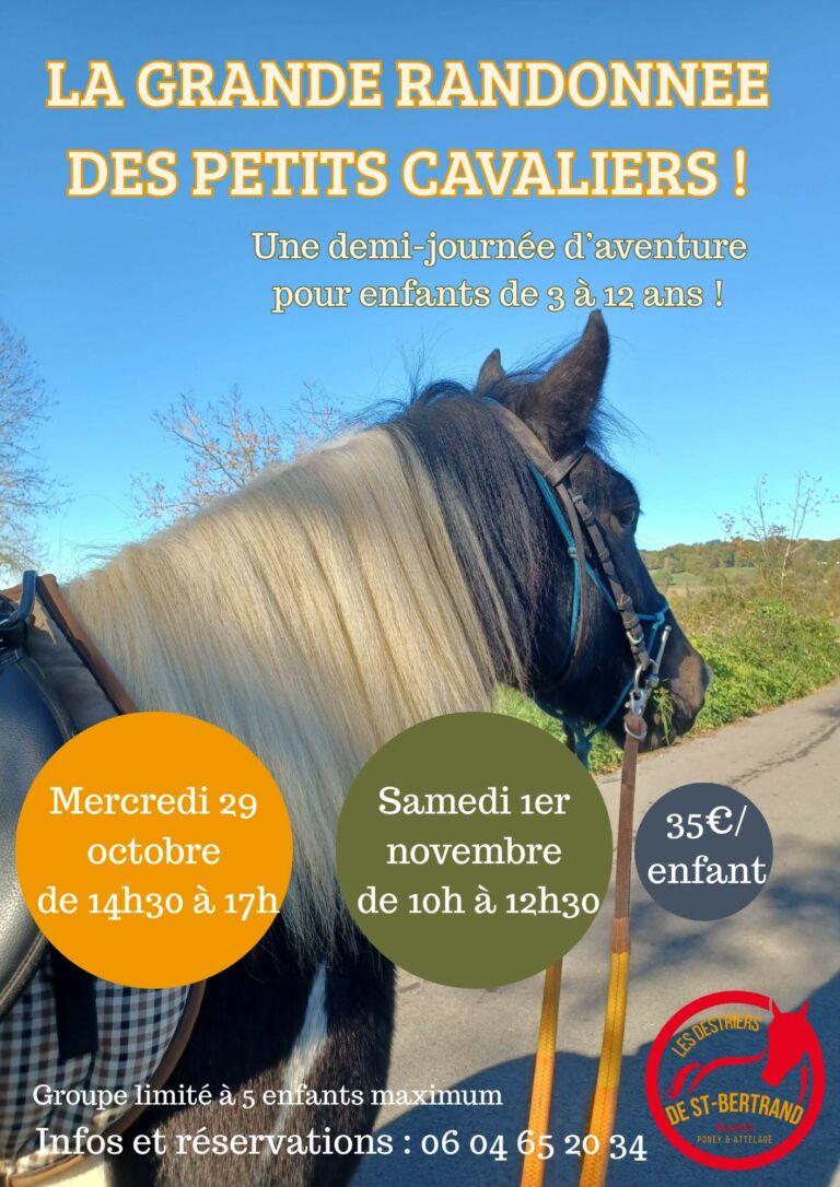 animation-destriers-st-bertrand-comminges-pyrenees31