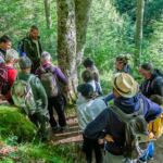 pays-de-l-ours-melles-animation-pyrenees31