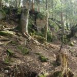 aranpark-isard-saintmamet-pyrenees31