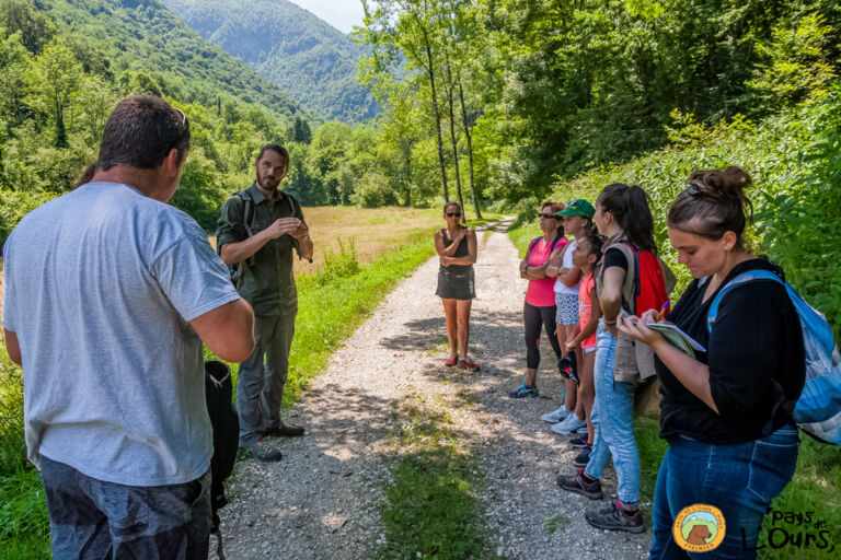 balade-ours-trace-luchon