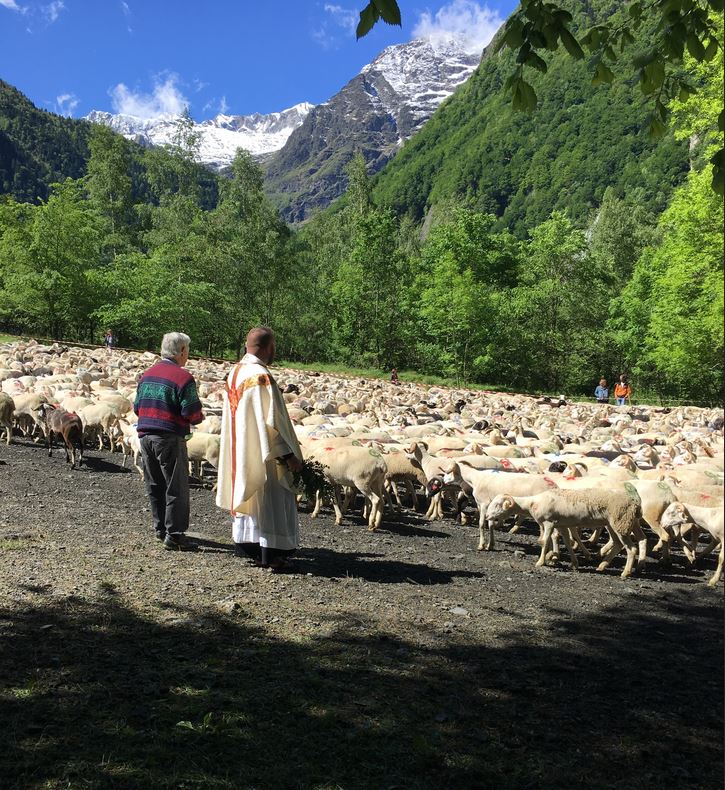 benediction troupeau